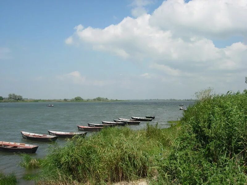 Дон впадает в таганрогский залив азовского моря. Устье дона. Устье дона. Устье дона. Устье дона.