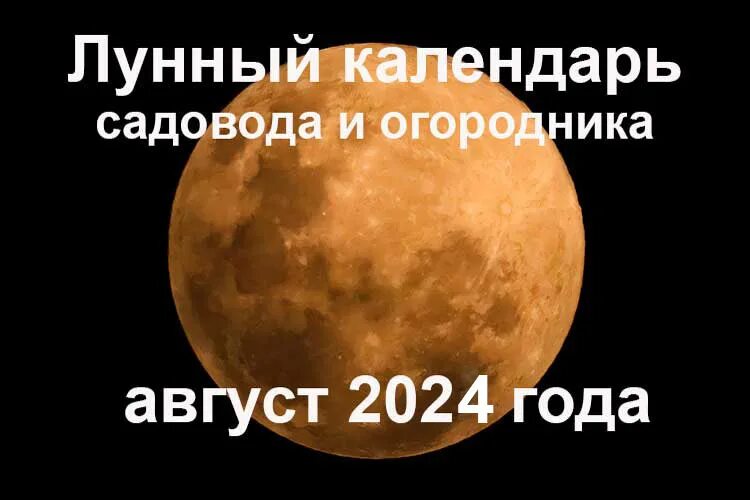 Лунный календарь на 2024 год для садоводов. Луна 10 октября 2022. Август 2024. Август 2023. 15 апреля 2024 лунный день