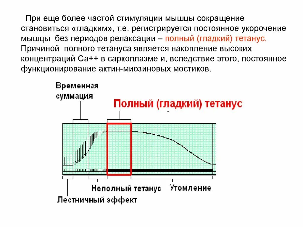 Стимулирование сокращения гладких мышц. При прямой стимуляции мышцы. Полный тетанус и неполный тетанус. Датчики для создания постоянного мышечного сокращения. Какой ток вызывает сокращение мышц