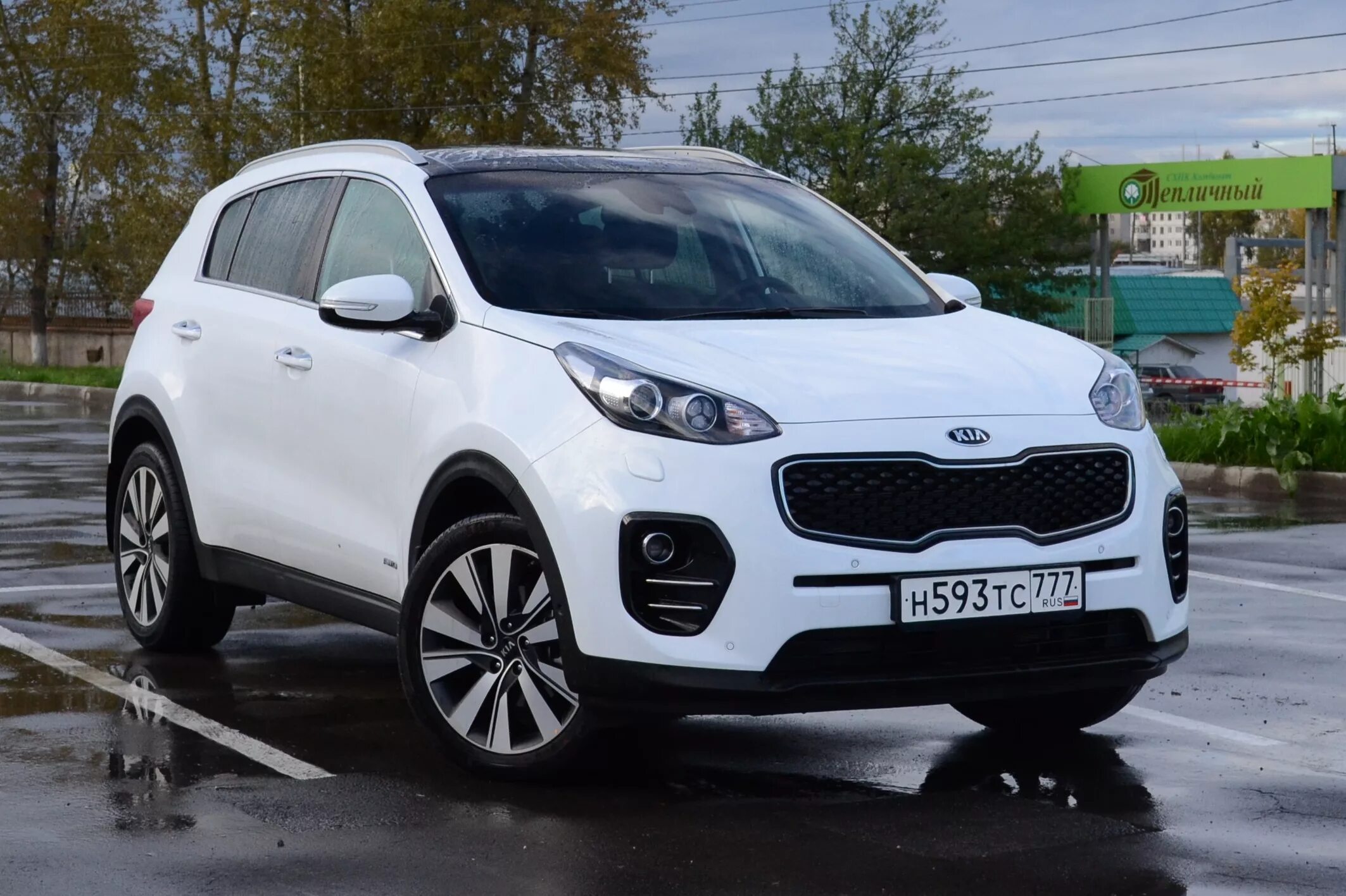 Kia Sportage 4. Kia Sportage QL. Киа Спортейдж 4 поколения. Кия Спортаж 4 поколение.