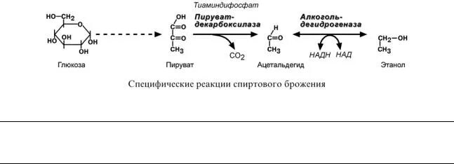 Окислительное декарбоксилирование ПВК. Пируват формула биохимия. Окислительное декарбоксилирование пирувата. Пируват тиаминдифосфата. Окисление пировиноградной кислоты этап