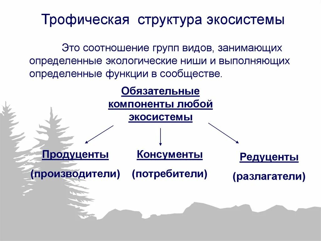 Связь между экосистемами. Структура экосистемы трофическая структура. Трофическая структура, компоненты экосистемы. Трофическая структура биоценоза. Трофическая структура биоценоза. Трофические уровни..