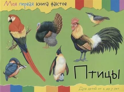 Птицы мои птицы