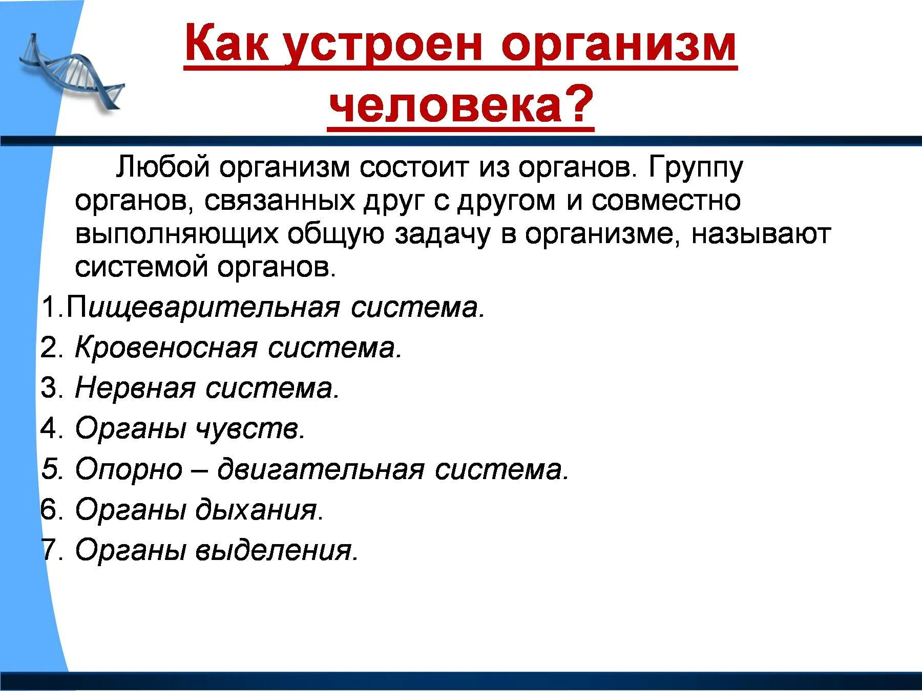 Как работает наш организм презентация 3 класс. Как устроен организм человека 3 класс. доклад по окружающему миру 3 класс на тему организм человека. организм человека презентация. доклад на тему организм человека 3 класс.