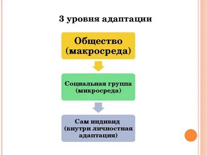 Адаптация человека обществе