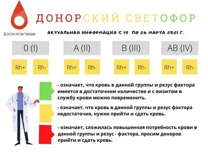 Сколько платят донорам в 2024