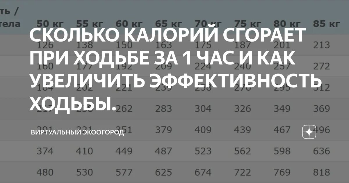 10000 шагов в километрах при ходьбе пешком. Сколько калорий тратится при ходьбе. Количество сжигаемых калорий при ходьбе. Сколько калорий сжигается при часе ходьбы. Сколько сжигается калорий при ходьбе 10000 шагов.