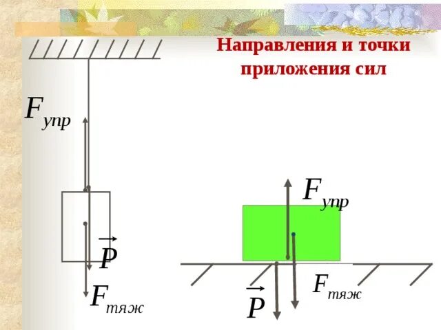 Куда направлено вес тела. Сила упругости точка приложения и направление. Веса тела точка приложения силы и направление силы. Сила тяжести рисунок точка приложения направление. Сила упругости рисунок точка приложения направление.