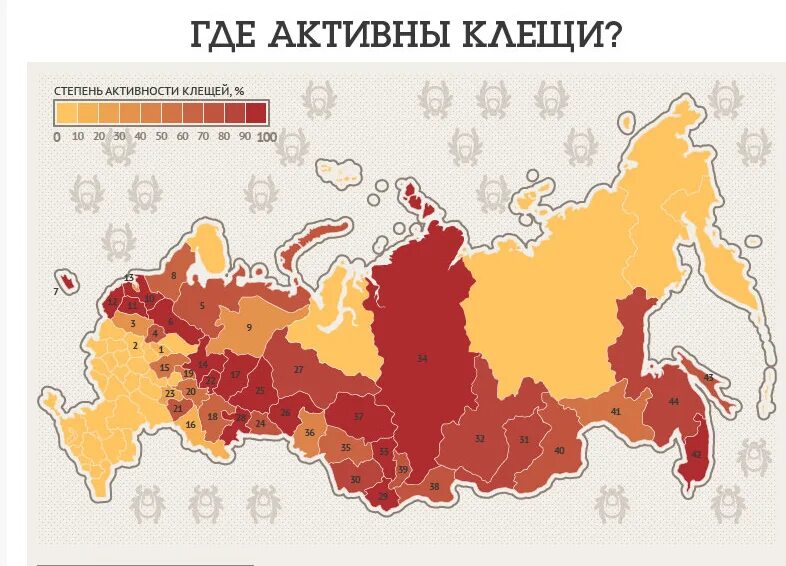 Где водятся энцефалитные клещи. Карта распространения иксодовых клещей в России. Ареал клещевого энцефалита в России. Клещевой боррелиоз распространение в России в 2021. Ареал энцефалитного клеща в России.