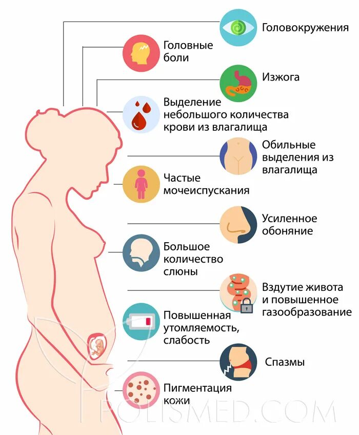 Проявление беременности. Первые признаки ьереме. Первые признаки бкременнос. Первые симптомы беременности. 3 неделя тянет низ живота