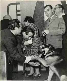 Собака 1970