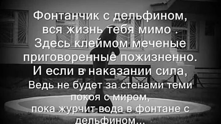 Слова песни черный дельфин. Черный Дельфин текст. Фонтанчик с черным дельфином текст. Чёрный Дельфин песня текст. Текст песни чёрный Дельфин.