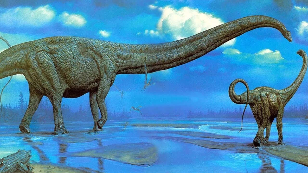 Какой динозавр был самым крупным 8 букв. Маменчизавр диплодок. диплодок динозавр. амфицелия динозавр. амфицелий зауропод.