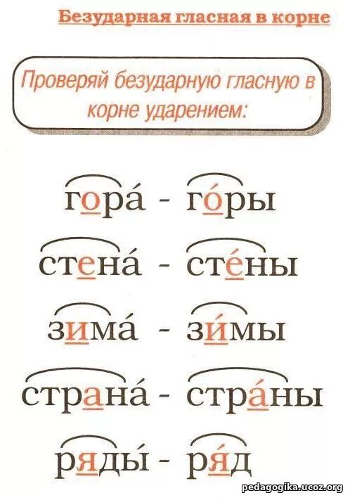 Слова с проверяемой безударной гласной в корне слова 3 класс. Слова с проверяемой безударной гласной в корне слова 3 класс примеры. Проверить безударную гласную в корне слова примеры. Пять слов с безударной гласной в корне слова проверяемой ударением. Видна безударная гласная