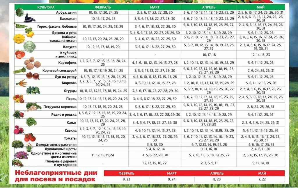 Сеять или сеить как правильно