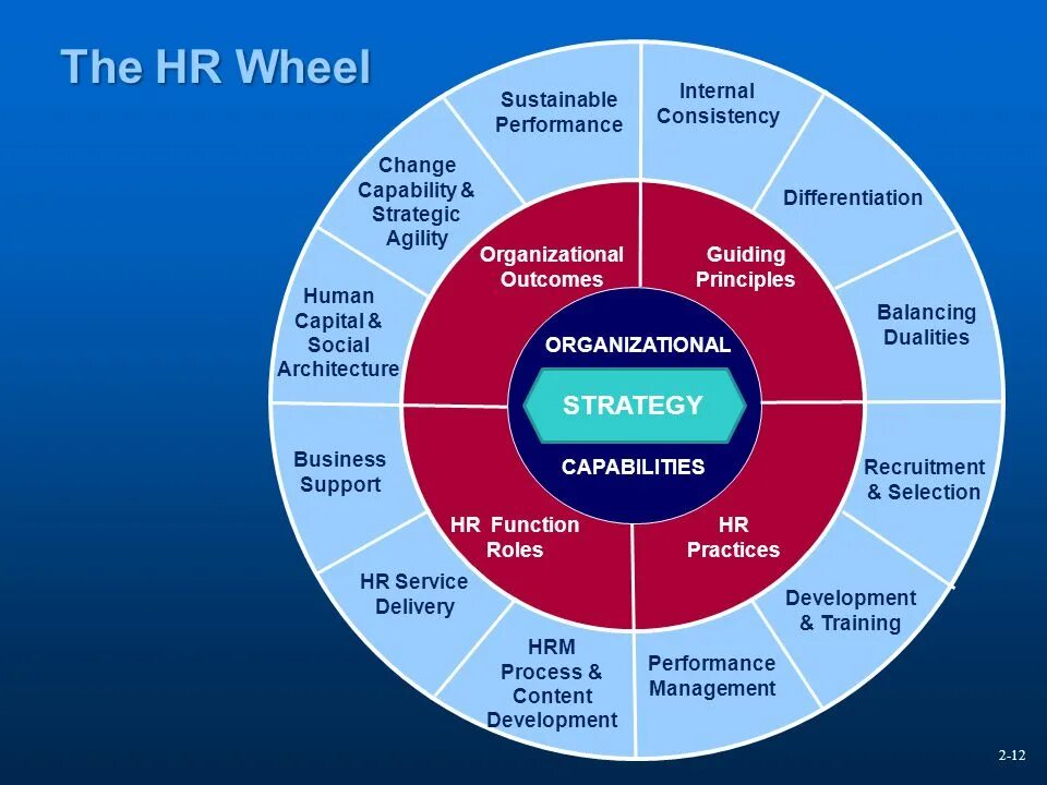 HRM (Human Capital Management) система. Архитектура HRM. HRM система картинки. Бизнес процесс Performance Management. Human capability