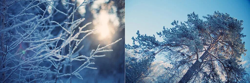 синий иней в каком году вышел. синий иней (ул. цвет синий иней. синий иней в каком году вышел. синий иней виа.