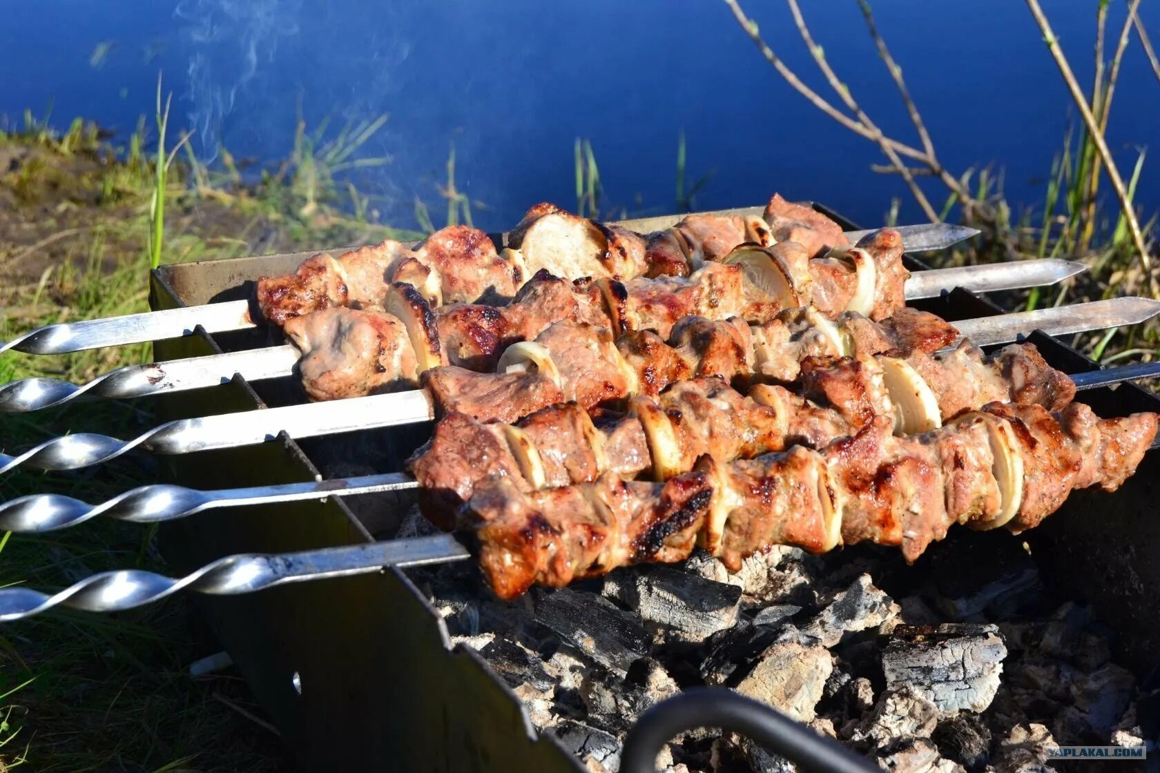 Шашлык кумертау. Шашлыки на природе. Шашлык на мангале. Красивый шашлык. Шашлык на мангале на природе.