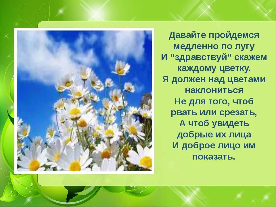 Стихи о цветах луговых для детей. Стихи про цветы. Стихотворение о Луге. Стихи о полевых цветах для детей.