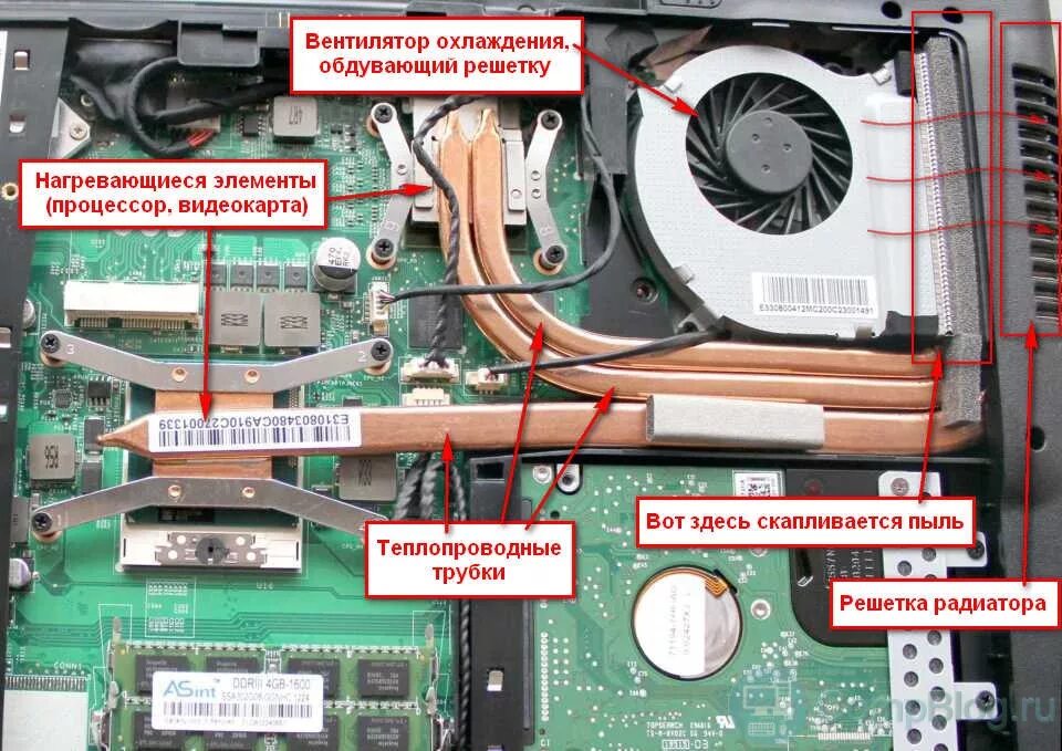 Строение ноутбука Lenovo. Внутреннее устройство ноутбука ASUS. Строение ноутбука ASUS. Строение трубки охлаждения в ноутбуке внутри. Местоположение ноутбука