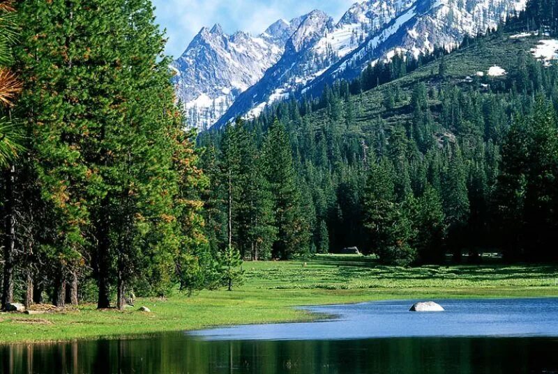 альпы в австралии. австралийские альпы в австралии. озеро давос швейцария. альпы в австралии. горы австралии австралийские альпы.