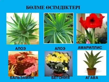 Смотреть порно онлайн: Анасы ұлының досымен