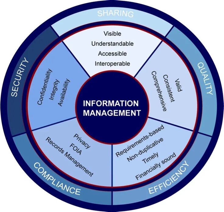 Information manager. Кадры для бизнеса. Инновации в бизнесе. Information manager. Информационные технологии.