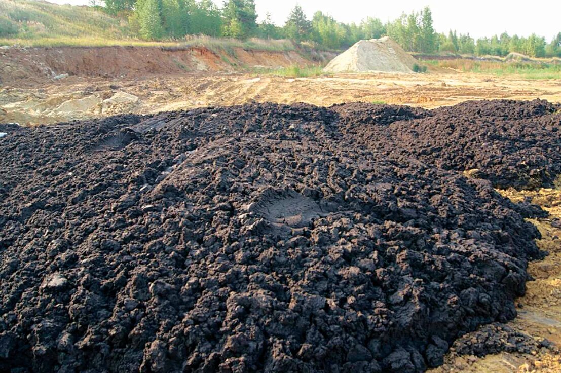 грунт строительный мусор. утилизация грунта и отходов. отход грунта. свалка строительного мусора. грунт строительный мусор.