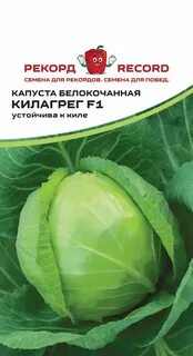 Партнер описание