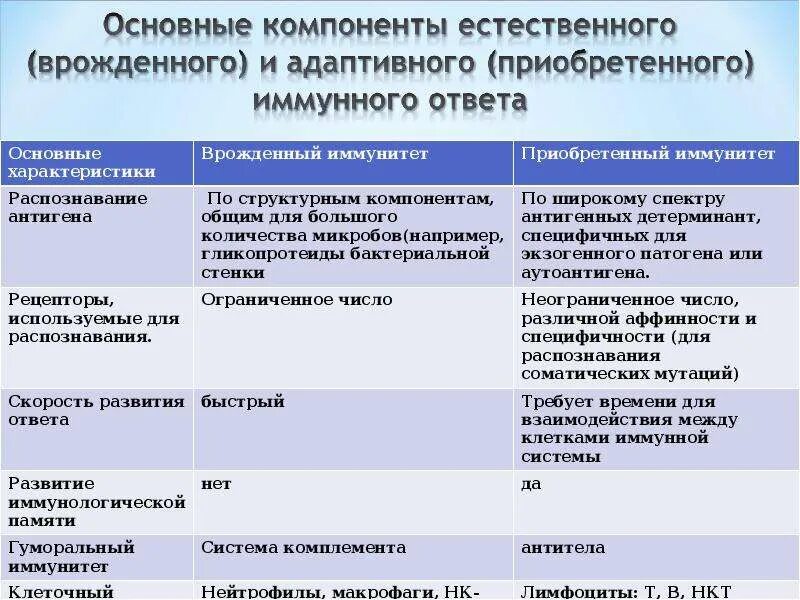 Общая характеристика основных клеток врожденного иммунитета. Основные механизмы и формы адаптивного иммунного ответа.. Клетки адаптивного иммунитета таблица. Характеристика т иммунного ответа.