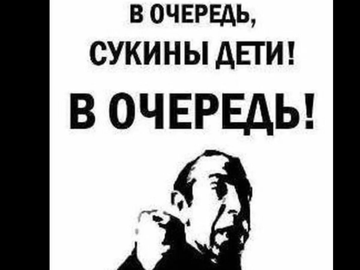 Сукины дети я родился. В очередь сукины дети в очередь. В очередь сукины дети картинка. В очередь сукины дети Мем.