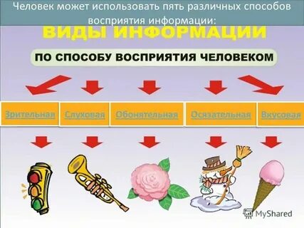 Какими фактами можно проиллюстрировать
