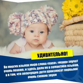 Детские факты