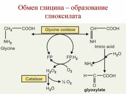 Синтез глицина