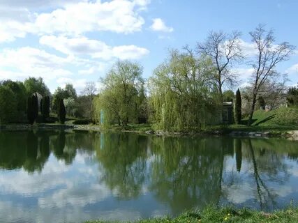 Хмельник
