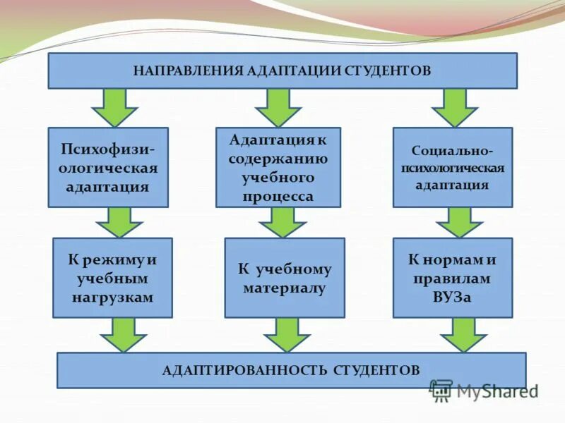 Во время этого процесса необходимо. Адаптация первокурсников. Социальная адаптация схема. Модель адаптации студентов. Социально-психологическая адаптация студентов.