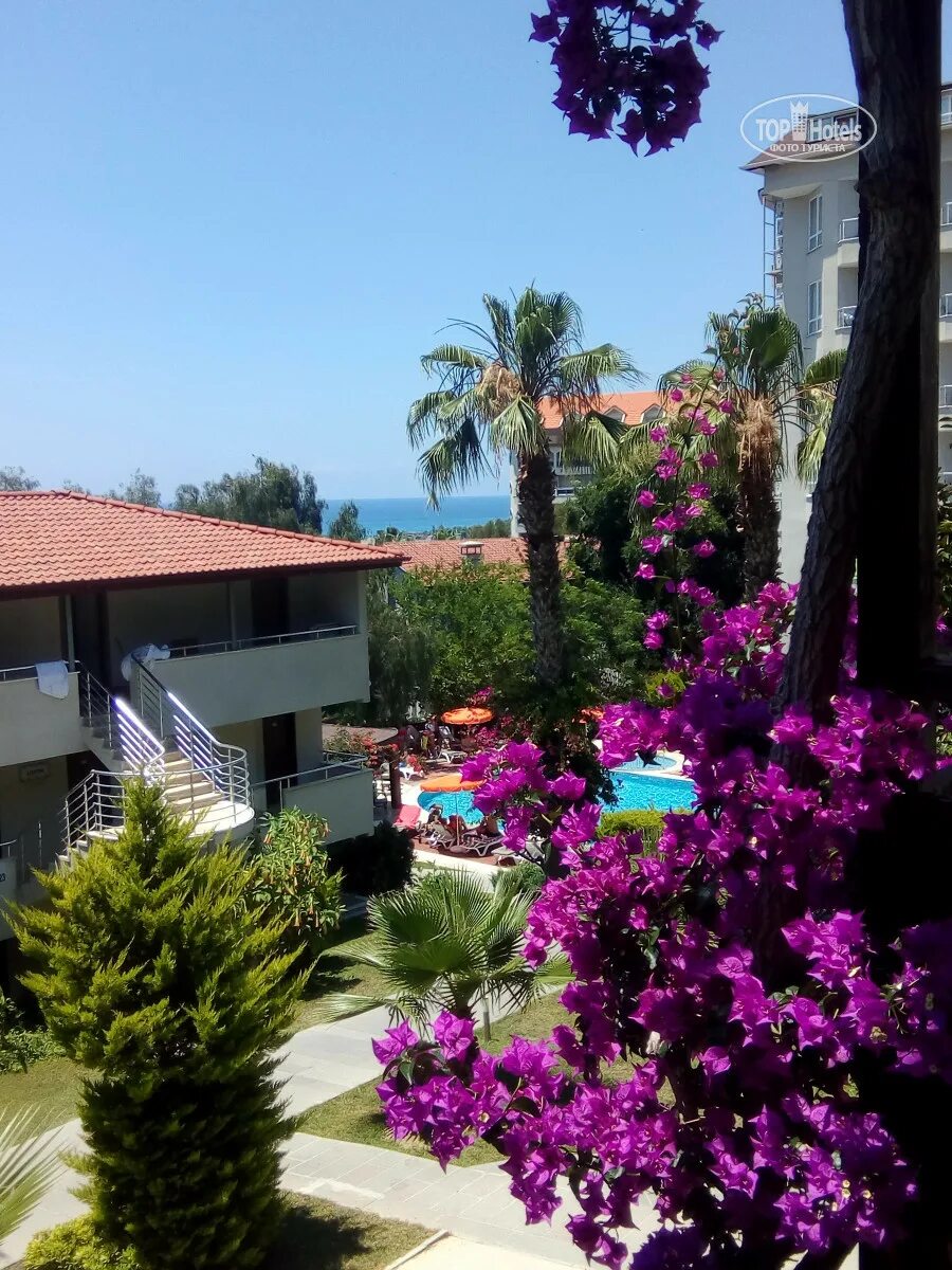 Джастина клаб алания 4. Justiniano club отзывы 2024. Justiniano club alanya 4 карта отеля. Justiniano club alanya 4. Justiniano club alanya 4 номера.