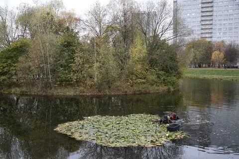 Вода свао