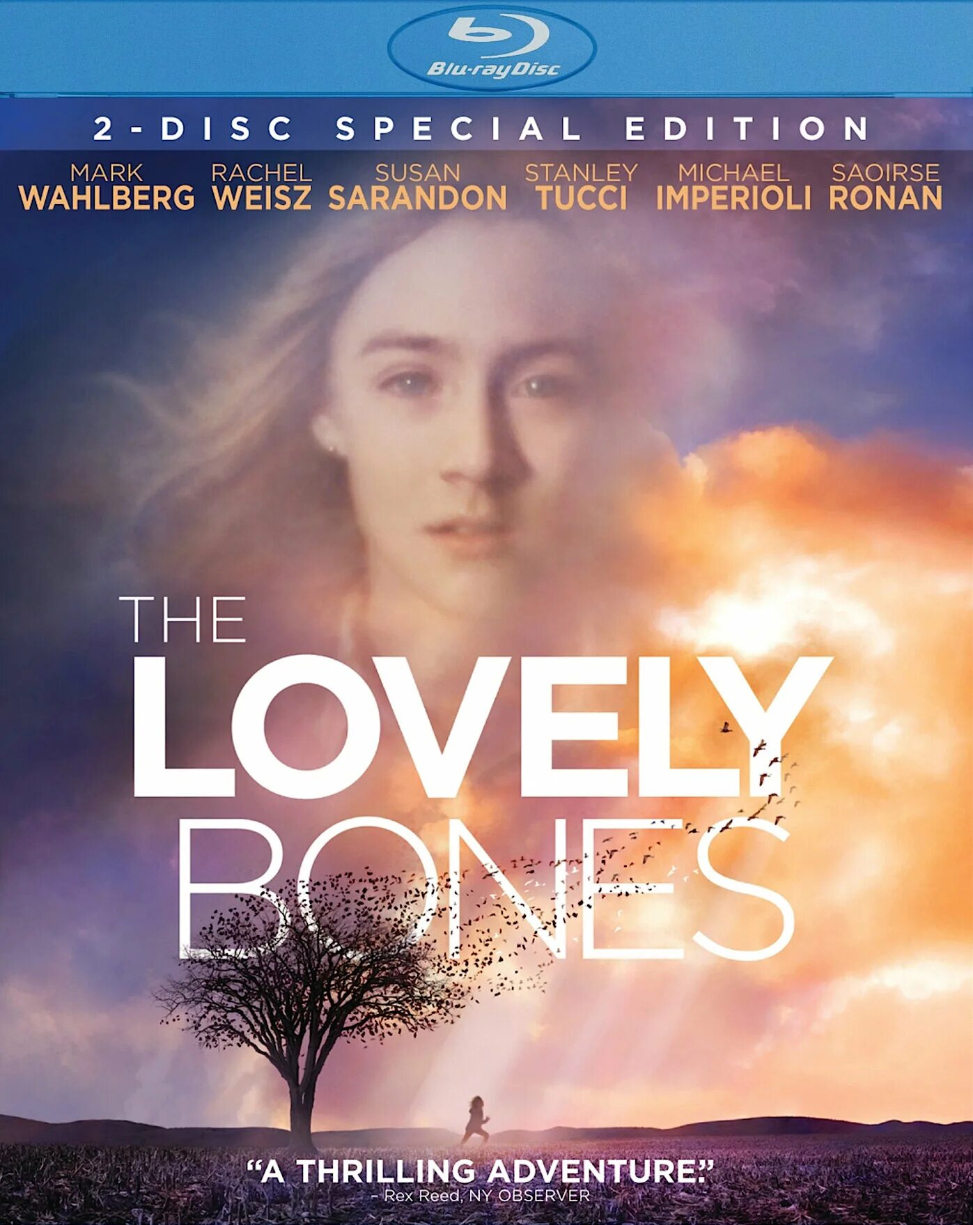 милые кости / the lovely bones (2009) постер. сьюзи сэлмон фильм. сьюзан сарандон милые кости. милые кости на английском. милые кости фильм 2009.