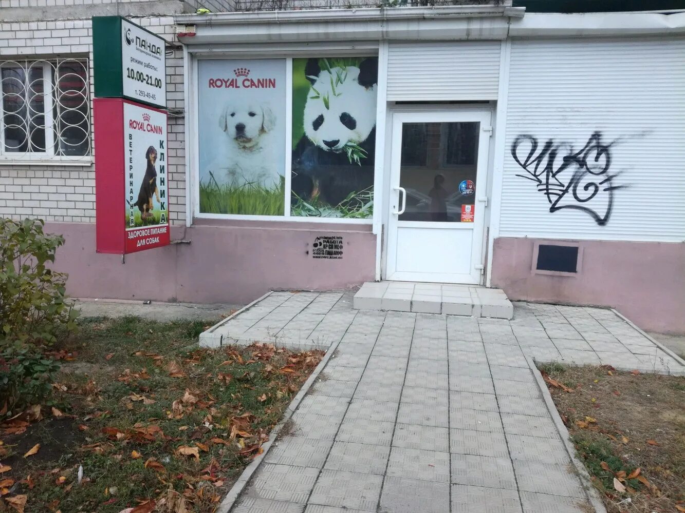 детский торговый центр панда. клиника панда волгоград. генерала лизюкова 85. панда клиника лаппи. панда из пиццерии.