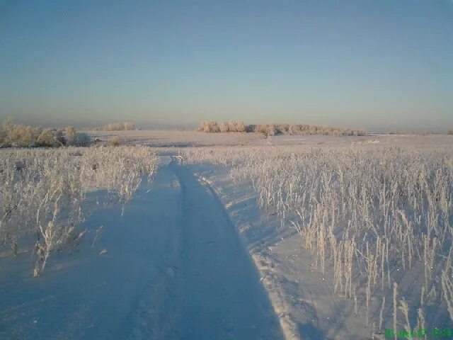 Деревня парский угол тамбовская область. Село александровка моршанский. Погода парский угол. Погода парский угол. Деревня парский угол тамбовская область.