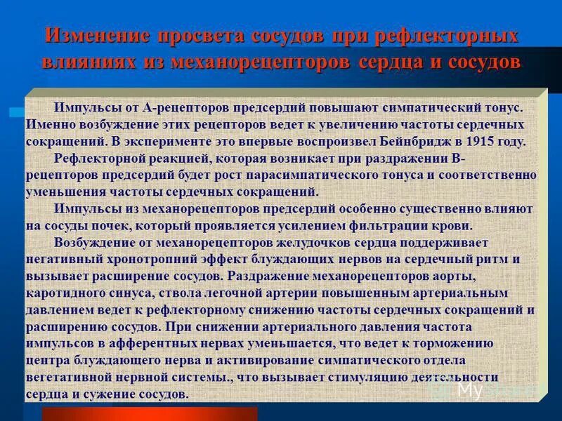 Просвет кровеносных сосудов. Как изменяется просвет артерий. Изменения просвета кровеносных сосудов осуществляется:. Регуляция просвета сосудов и кровяного давления. Диаметр просвета сосудов.
