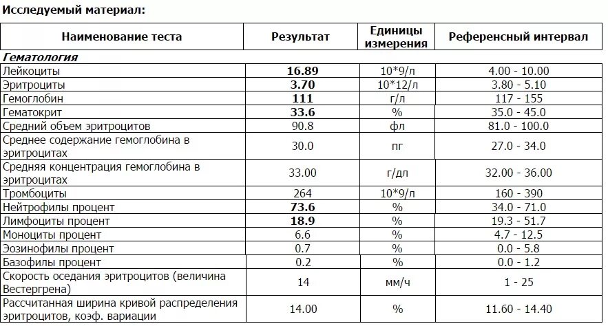 Нормы крови при беременности 3 триместр. Общий клинический анализ крови беременной норма. Общий анализ крови при беременности 1 триместр норма. Общий анализ крови расшифровка у женщин беременных таблица норма. Норма результатов анализов крови при беременности.