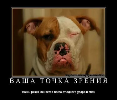 Внезапное очень