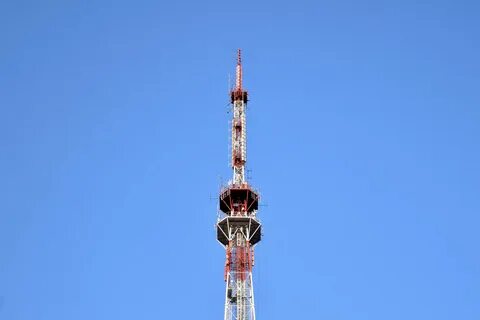 Воронежская телебашня примерит тигриные полоски в новогодние праздники