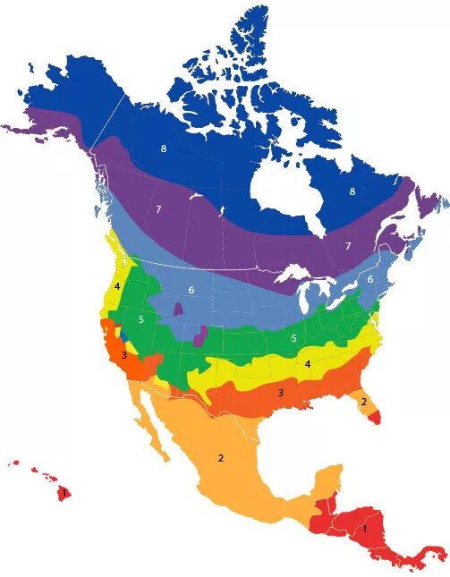 Сколько климатических поясов в северной америке. Карта климатических поясов Северной Америки. Климат Северной Америки карта. Климатические пояса Северной Америки.