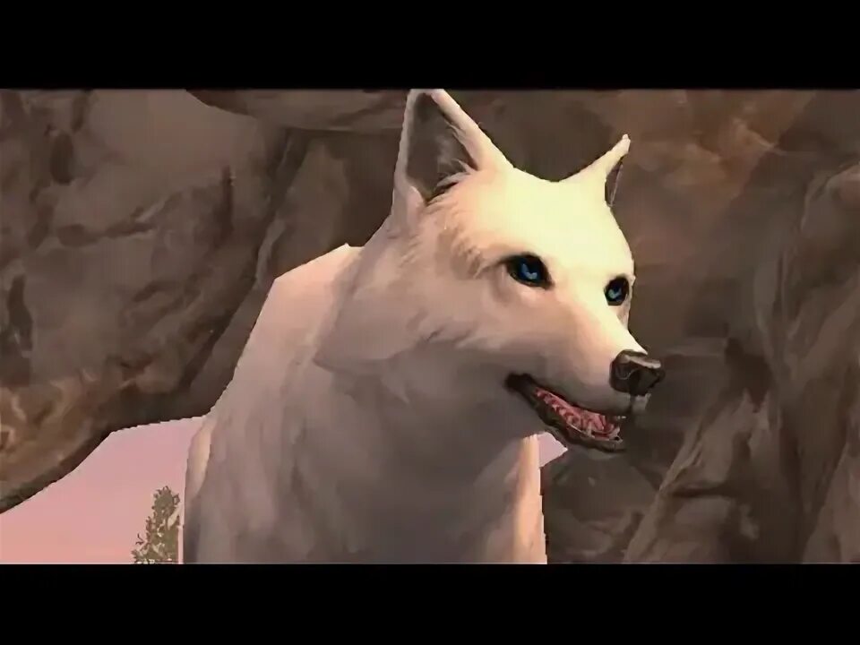Wolf tales animal sim. Призрачный волк. Cbvekznjh ;jkrjd. The wolf игра. Симулятор волка эволюция.