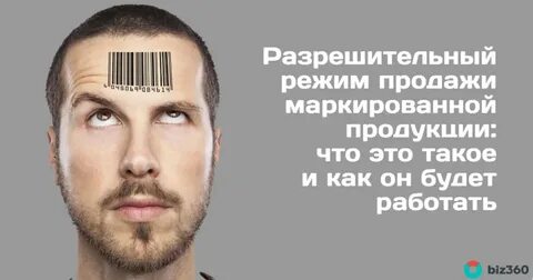 Режим 2024