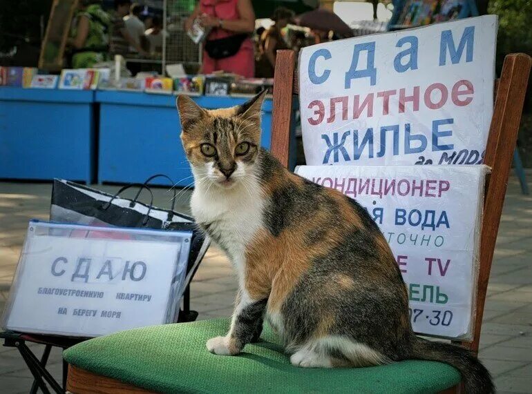 Квартира ключи. Ненужные вещи. Товар ненадлежащего качества. Сбор одежды. Схема приобретения жилья.