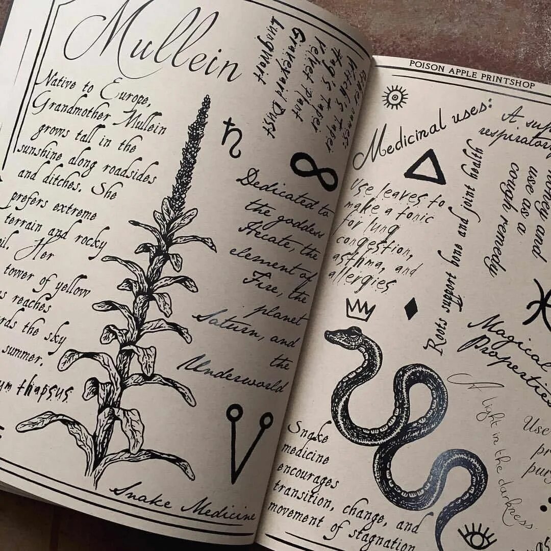 Гримуар некрономикон. Древние книги зелий. Гримуар дневник ведьмы. Что можно записать в гримуар. Гримуар книга теней.